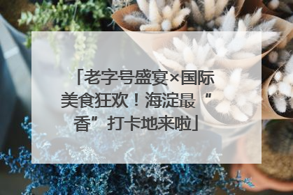 老字号盛宴×国际美食狂欢！海淀最“香”打卡地来啦