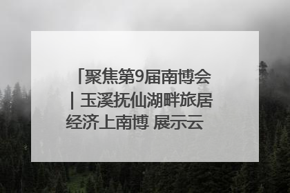 聚焦第9届南博会｜玉溪抚仙湖畔旅居经济上南博 展示云南生活新样本