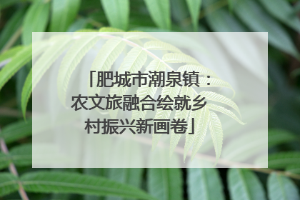 肥城市潮泉镇：农文旅融合绘就乡村振兴新画卷