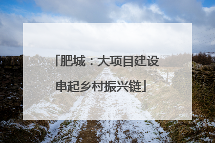 肥城：大项目建设串起乡村振兴链