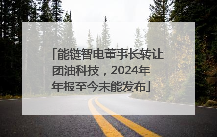 能链智电董事长转让团油科技，2024年年报至今未能发布