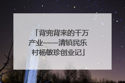 背兜背来的千万产业——清镇民乐村杨敏珍创业记