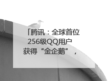 腾讯：全球首位256级QQ用户获得“金企鹅”，送限量版神秘惊喜等礼物