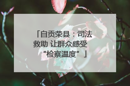 自贡荣县：司法救助 让群众感受“检察温度”