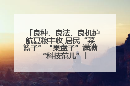 良种、良法、良机护航夏粮丰收 居民“菜篮子”“果盘子”满满“科技范儿”