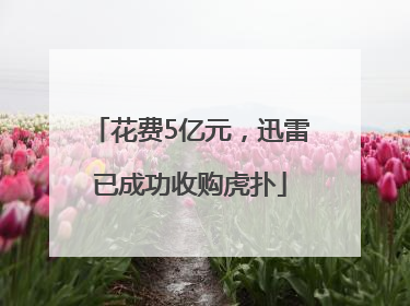 花费5亿元，迅雷已成功收购虎扑