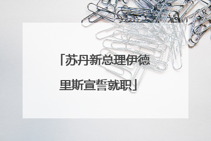 苏丹新总理伊德里斯宣誓就职