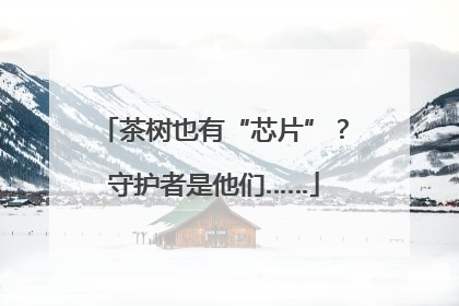 茶树也有“芯片”？守护者是他们……