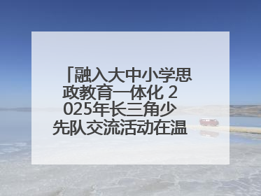 融入大中小学思政教育一体化 2025年长三角少先队交流活动在温岭举办