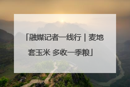 融媒记者一线行｜麦地套玉米 多收一季粮