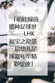 萌娃绿茵播种足球梦——LHK福宝之星第三届幼儿足球嘉年华精彩绽放