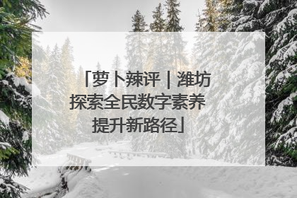 萝卜辣评｜潍坊探索全民数字素养提升新路径