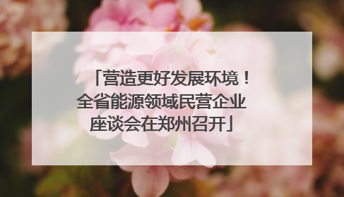 营造更好发展环境！全省能源领域民营企业座谈会在郑州召开