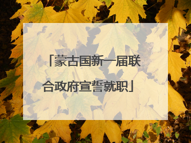 蒙古国新一届联合政府宣誓就职