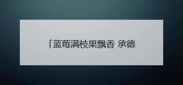 蓝莓满枝果飘香 承德宽城特色产业助振兴
