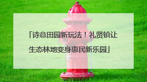 诗意田园新玩法！礼贤镇让生态林地变身惠民新乐园