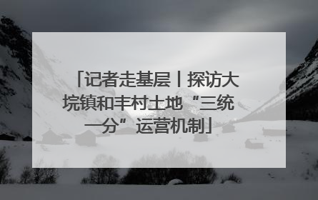 记者走基层丨探访大垸镇和丰村土地“三统一分”运营机制