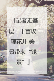 记者走基层｜千亩玫瑰花开 美景带来“钱景”