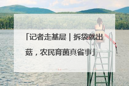 记者走基层｜拆袋就出菇，农民育菌真省事