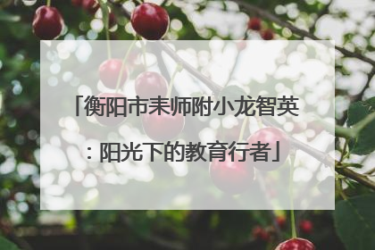 衡阳市耒师附小龙智英：阳光下的教育行者