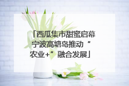 西瓜集市甜蜜启幕 宁波高塘岛推动“农业+”融合发展