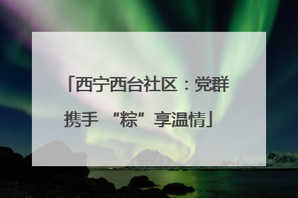西宁西台社区：党群携手 “粽”享温情