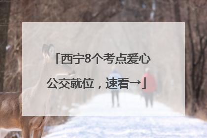 西宁8个考点爱心公交就位，速看→