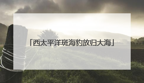 西太平洋斑海豹放归大海