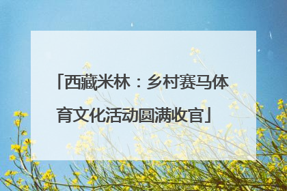 西藏米林：乡村赛马体育文化活动圆满收官