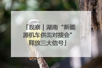 观察｜湖南“新能源机车供需对接会”释放三大信号