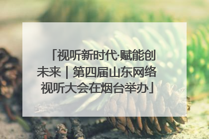 视听新时代·赋能创未来｜第四届山东网络视听大会在烟台举办