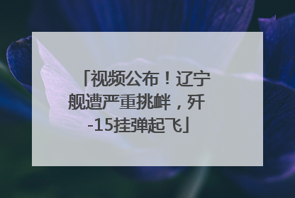 视频公布！辽宁舰遭严重挑衅，歼-15挂弹起飞