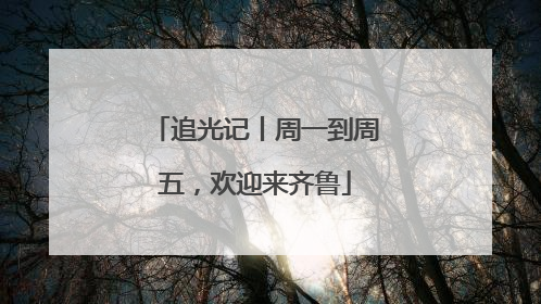 追光记丨周一到周五，欢迎来齐鲁