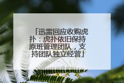 迅雷回应收购虎扑：虎扑依旧保持原班管理团队，支持团队独立经营