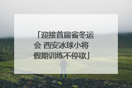 迎接首届省冬运会 西安冰球小将假期训练不停歇
