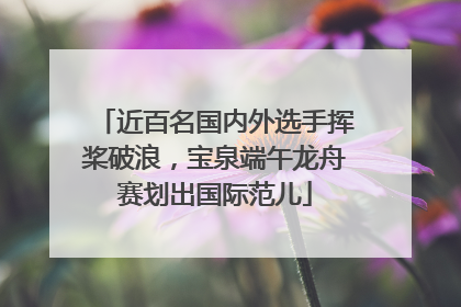 近百名国内外选手挥桨破浪，宝泉端午龙舟赛划出国际范儿