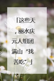 这些天，丽水庆元人组团满山“找苦吃”