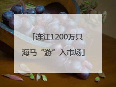 连江1200万只海马“游”入市场