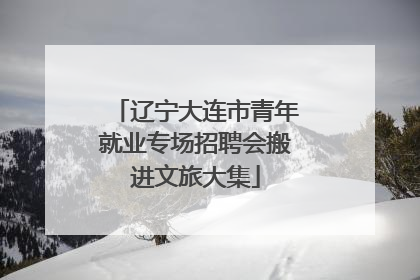 辽宁大连市青年就业专场招聘会搬进文旅大集