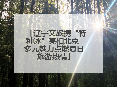 辽宁文旅携“特种冰”亮相北京 多元魅力点燃夏日旅游热情