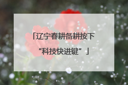 辽宁春耕备耕按下“科技快进键”