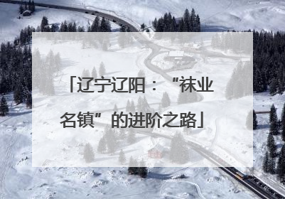 辽宁辽阳：“袜业名镇”的进阶之路
