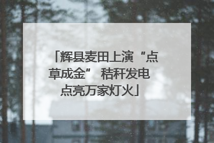 辉县麦田上演“点草成金” 秸秆发电点亮万家灯火