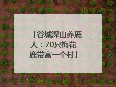 谷城深山养鹿人：70只梅花鹿带富一个村