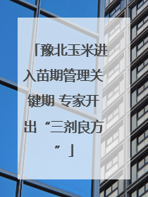 豫北玉米进入苗期管理关键期 专家开出“三剂良方”