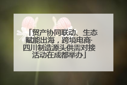 贸产协同联动、生态赋能出海，跨境电商·四川制造源头供需对接活动在成都举办