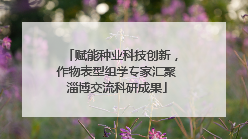 赋能种业科技创新，作物表型组学专家汇聚淄博交流科研成果