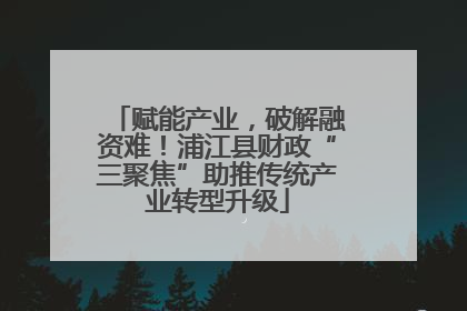 赋能产业，破解融资难！浦江县财政“三聚焦”助推传统产业转型升级