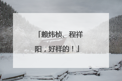 赖炜桢、程祥阳，好样的！