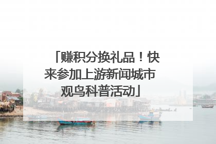 赚积分换礼品！快来参加上游新闻城市观鸟科普活动